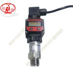 MPT281 digital dispaly pressure sensor-MANYYEAR TECHNOLOGY